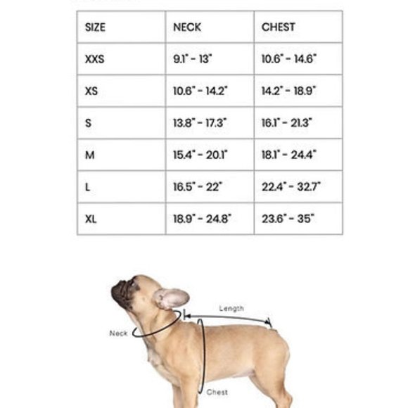 PETsRUS Premium No Pull Dog Harness 2 Leash Clips Beige Leather Neoprene Ivory - Picture 3 of 12